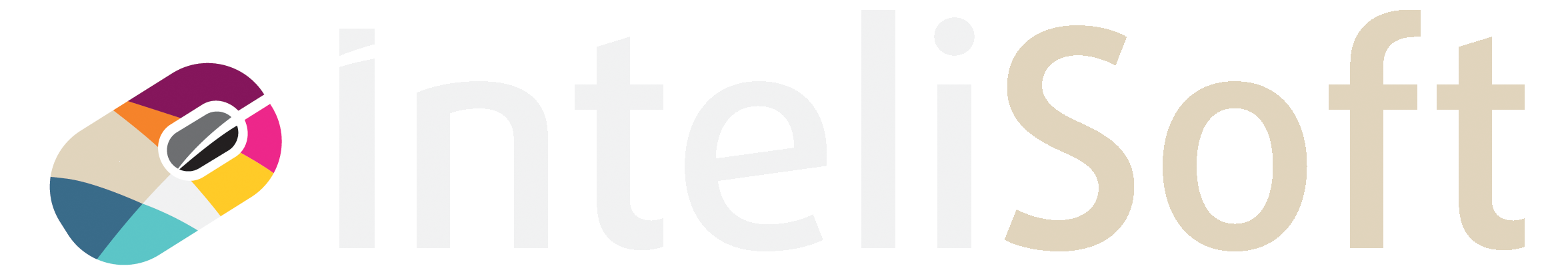 Logo Intelisoft